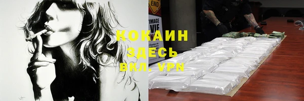 индика Верея