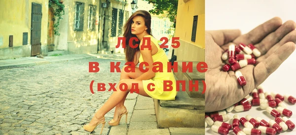 индика Верея