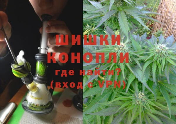 индика Верея