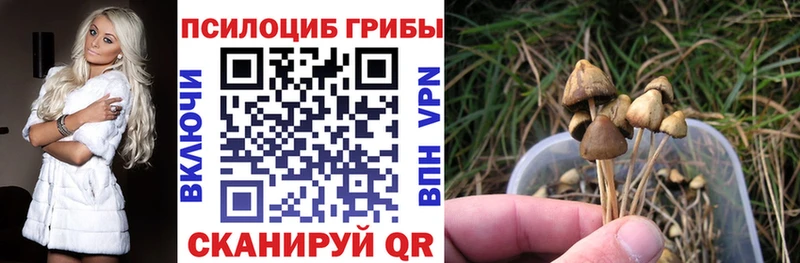 наркота  Луза  Псилоцибиновые грибы MAGIC MUSHROOMS 